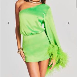 Green Feather Retrofete Dress